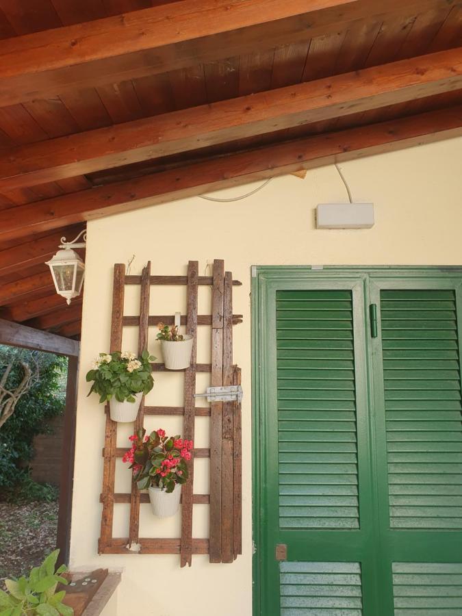 Andrea'S House Villa ฟิวมิชีโน ภายนอก รูปภาพ